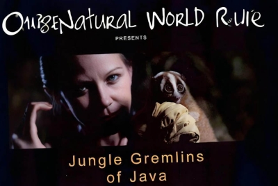 BBC 自然世界: 爪哇丛林精灵 2012 Jungle Gremlins of Java 英语中字高清720P视频MKV