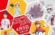 工作细胞: 细胞大作战 [2020] 国语繁体中文字幕高清1080P视频MKV百度网盘下载